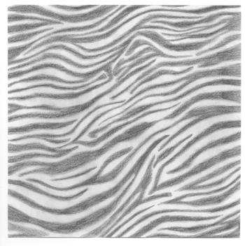 Zebra patroon