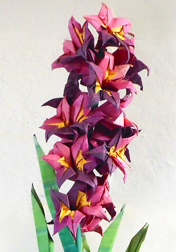 Origami Hyacint