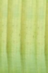 gekleurd motiefje voor de steel van een amaryllis