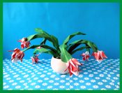 fold the same christmas cactus as in this picture