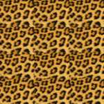 printable paper for an origami cheetah