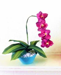 Origami Orchidee