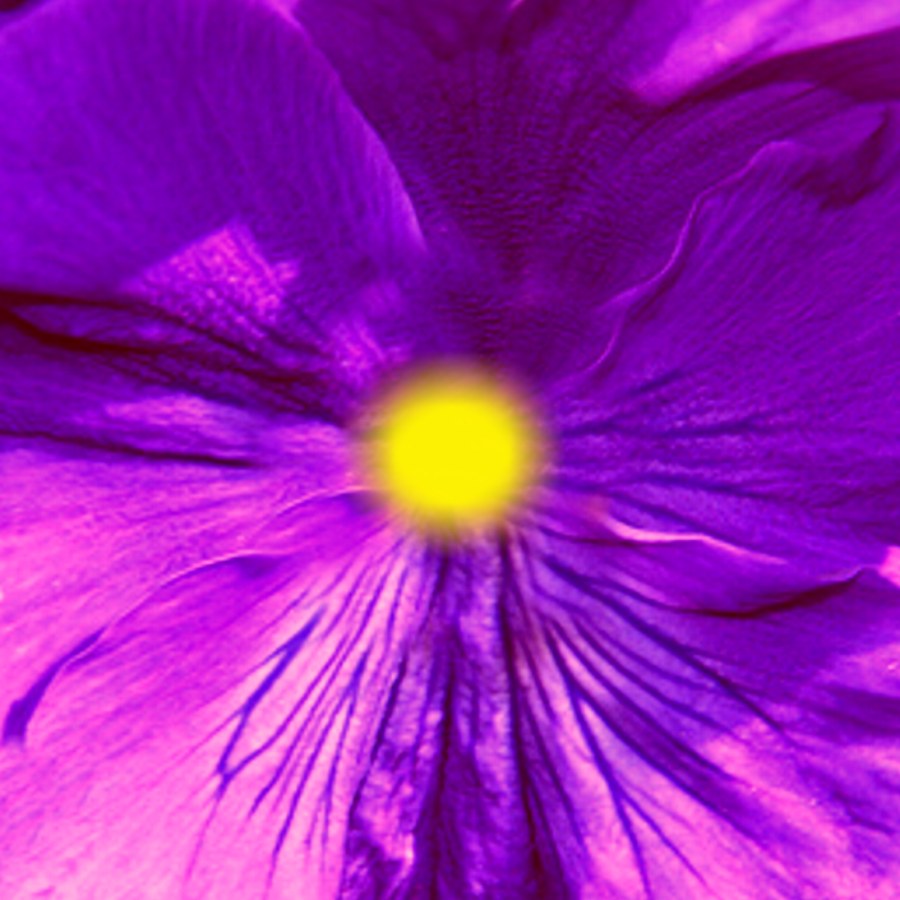 papier met violet bloem print erop