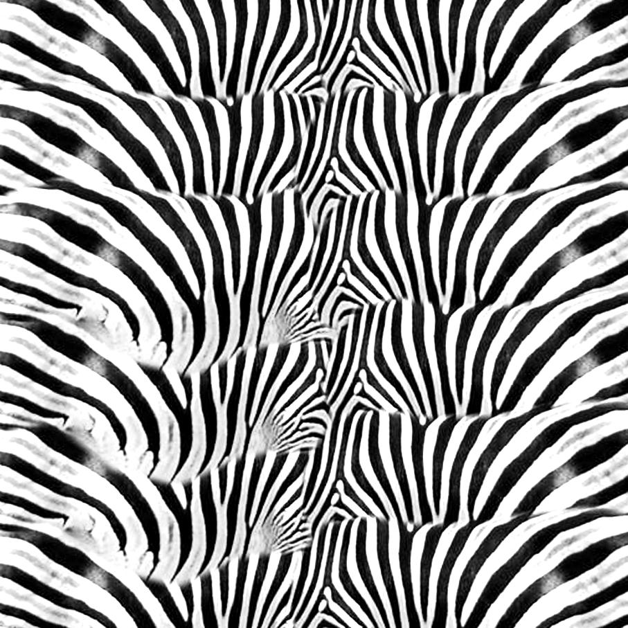 pattern for an origami zebra