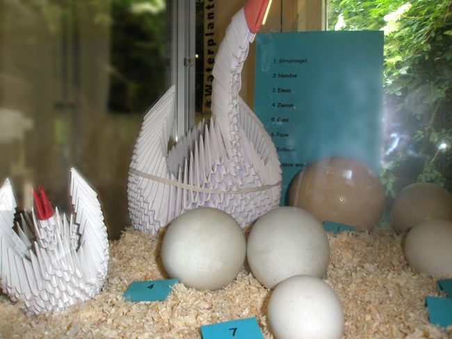 origami swans at a children's farm