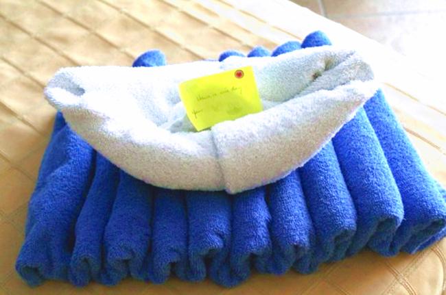 Towel Origami Boat