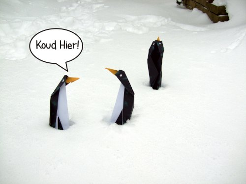 grappige pinguins die in de sneeuw staan te bibberen van de kou