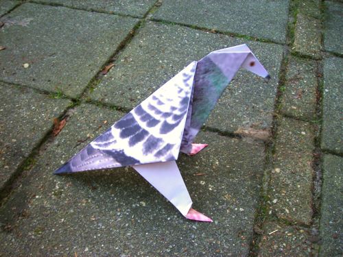 Virtual Pigeon