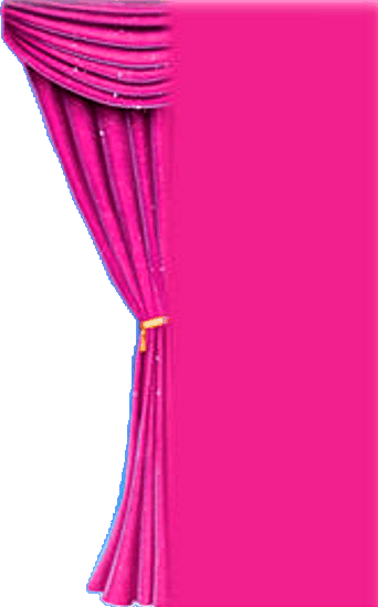 Barbie curtain