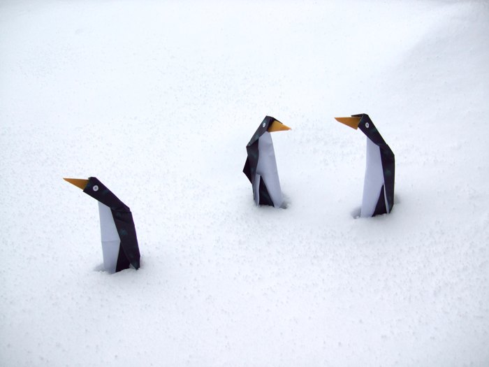 funny origami penguins placed in real snow