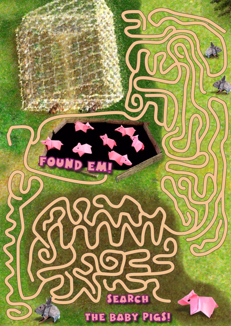Maze with baby pigs