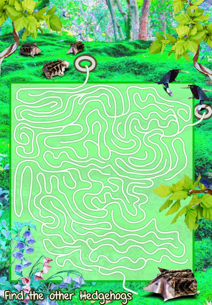 Hedgehog Maze