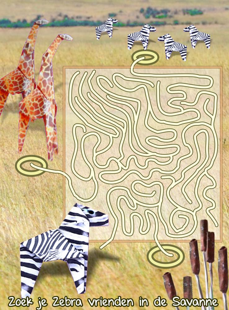 Zebra Doolhof
