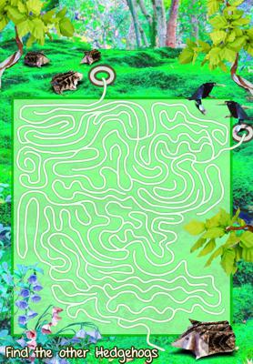 Hedgehog Maze