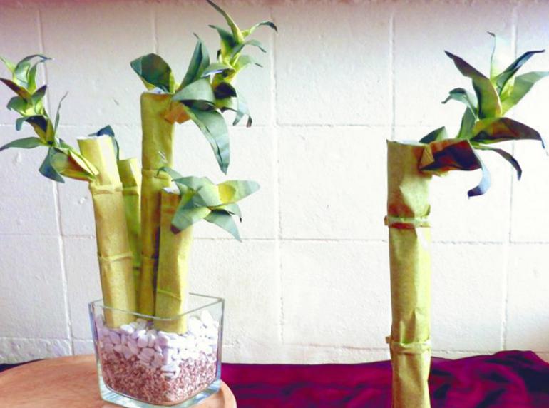Origami Bamboo Plant