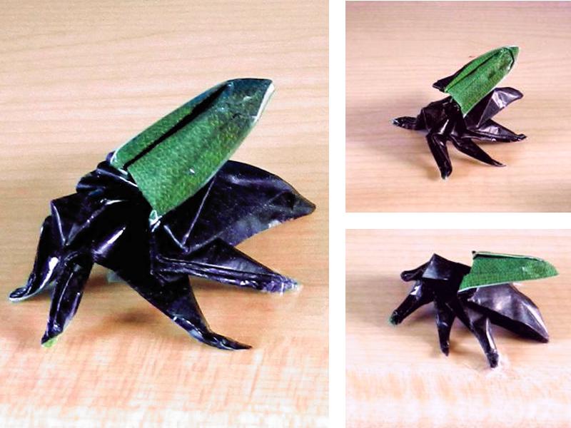 Origami Kever Insect