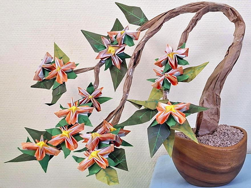 Bonsai Origami Clematis bloem
