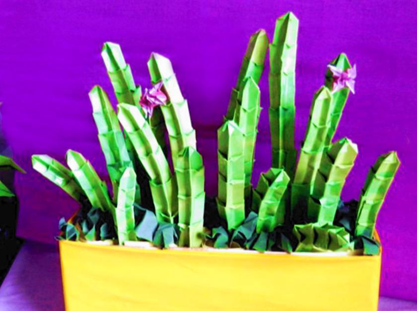 Origami Cactus Plant