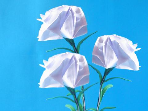 Origami Carnations
