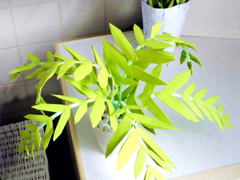 Origami Varen plant