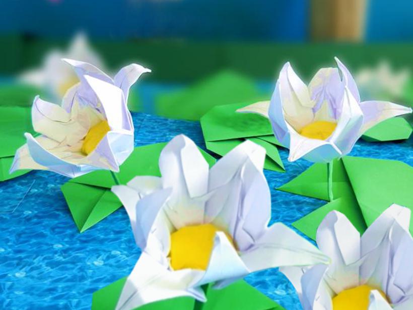 Origami Waterlelies