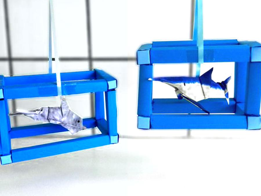Mini Aquarium Displays