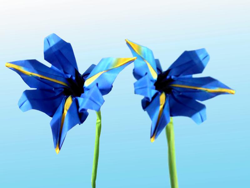 Origami Iris Flower