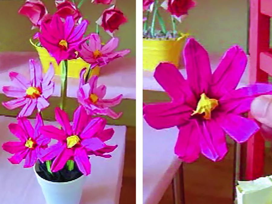 Origami Meisjesogen Bloem