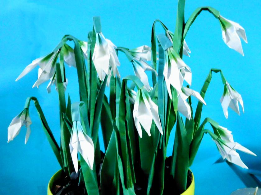 Origami Snowdrops Origami Snowdrops