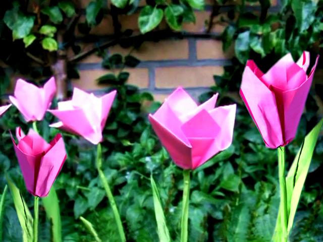Origami Tulpen